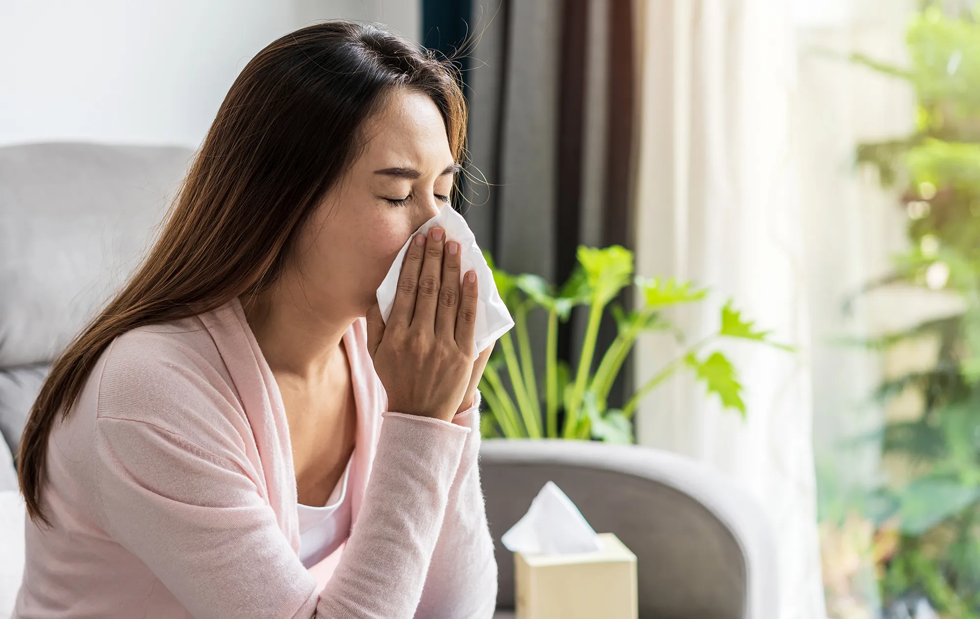 A woman with long brown hair in a pale pink cardigan sneezing into a tissue on a grey sofa, a tissue box and a houseplant by the window