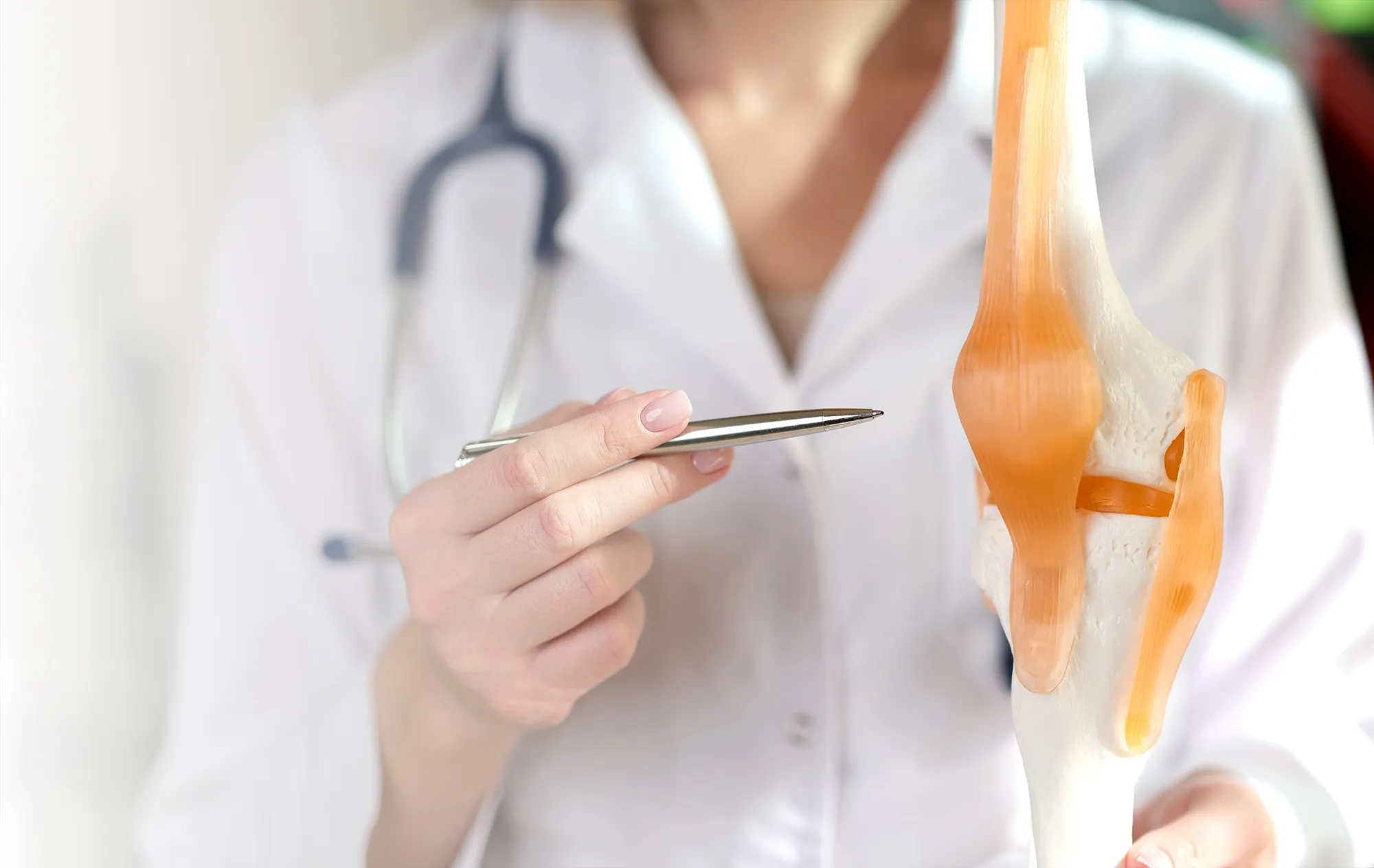 A person in a white coat with a stethoscope pointing a silver pen at a model of a knee joint