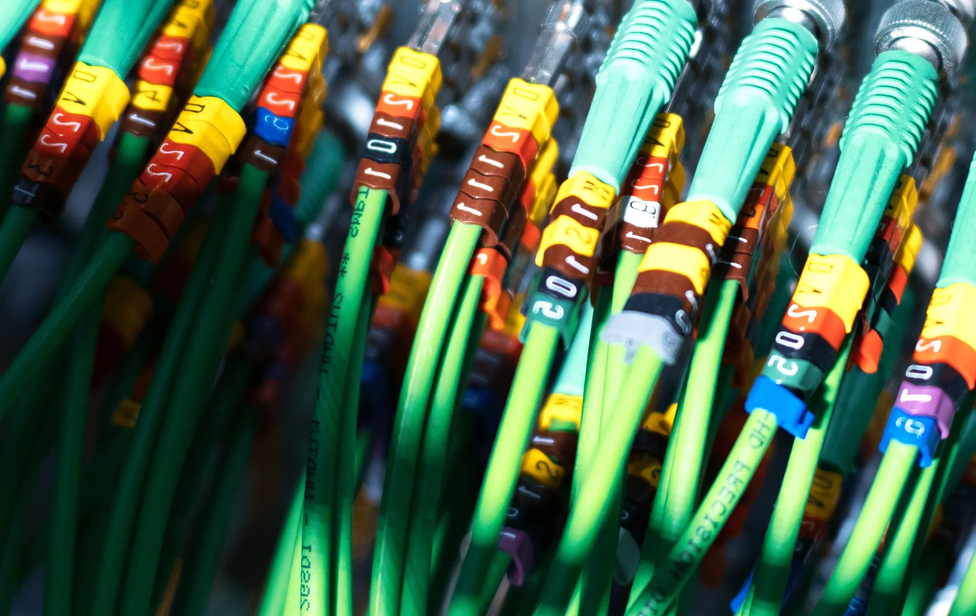 Rows of green cables fitted with yellow, red, brown and blue marker rings, plugged into metal connectors