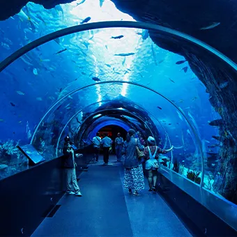 People walking through a glass underwater tunnel with fish swimming overhead