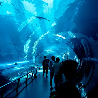 People walking through a blue-lit underwater tunnel, fish swimming above them
