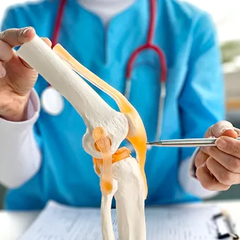 A person in blue scrubs with a stethoscope holding a model of a knee joint and pointing a pen at it