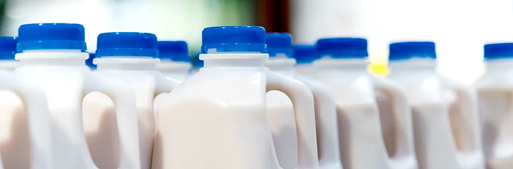 Rows of white plastic milk jugs with blue caps