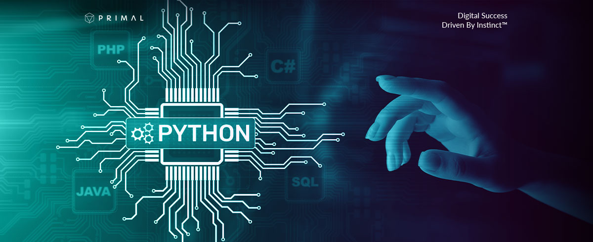 ตอบครบจบทุกคำถาม! Python คืออะไรและใช้งานอย่างไร?