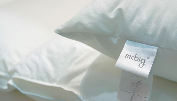 Mr. Big Pillow Achieves 30x Return on Ad Spend in 3 Months