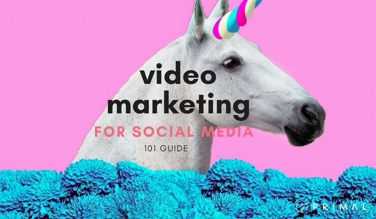 Video Marketing for Social Media 101