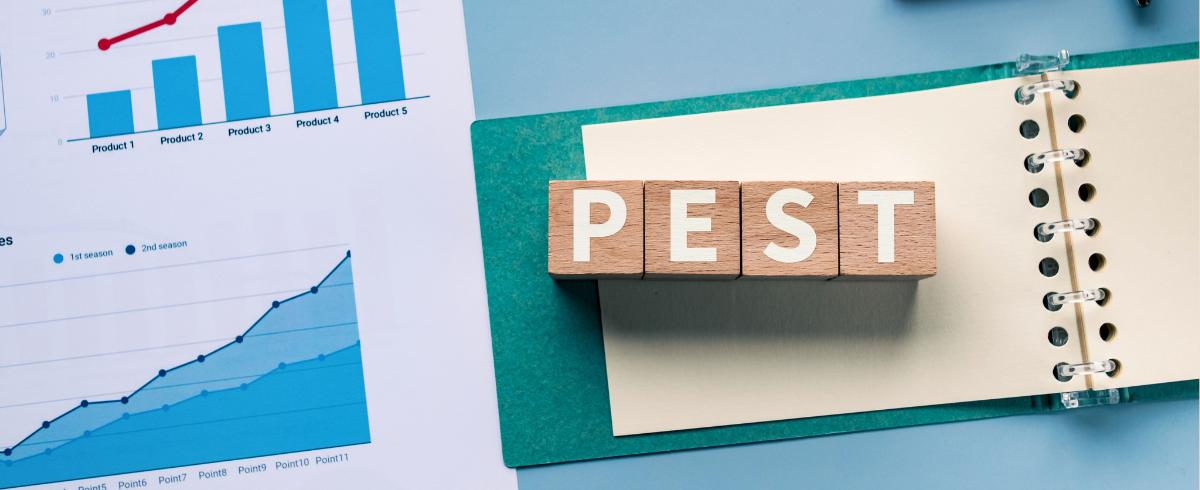 PEST Analysis คืออะไร แนวคิดช่วยทำธุรกิจที่นักการตลาดต้องรู้